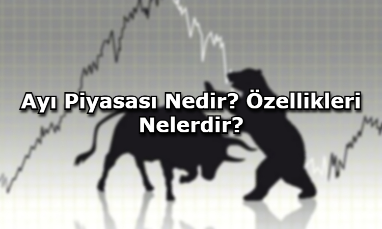 Ayı Piyasası Nedir? Özellikleri Nelerdir?