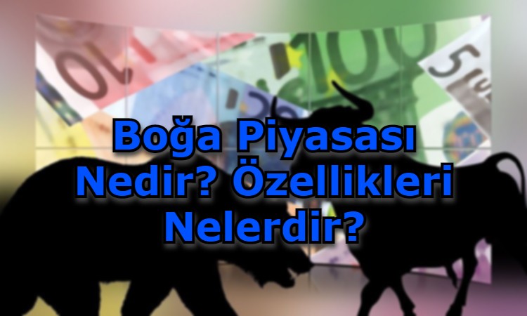 Boğa Piyasası Nedir? Özellikleri Nelerdir?