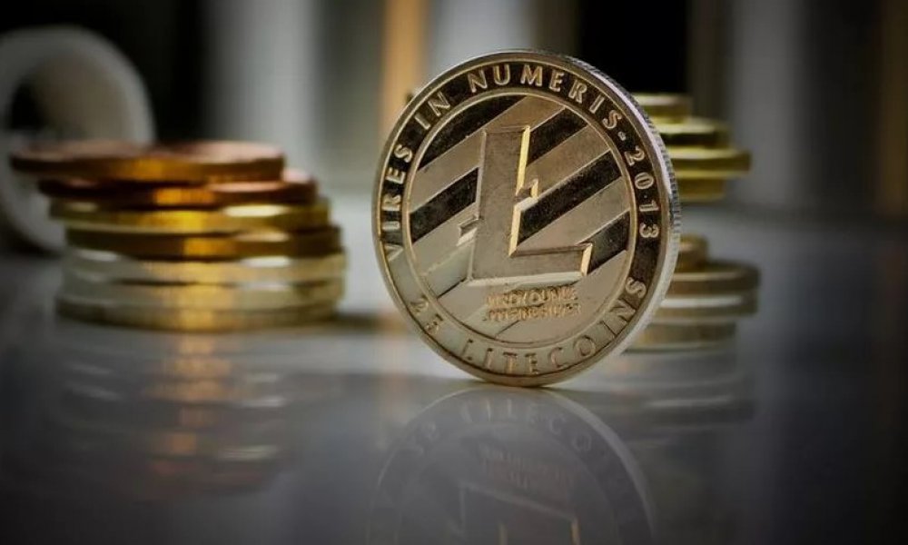 litecoin karsilik miktari