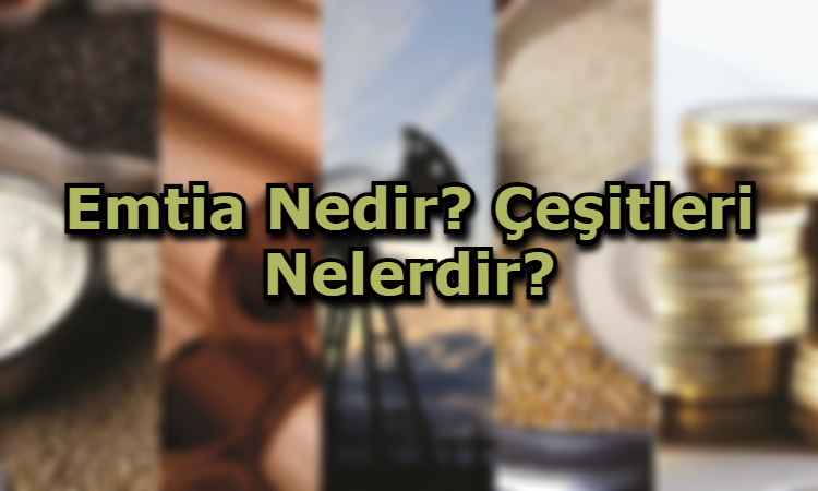 Emtia Nedir? Çeşitleri Nelerdir?