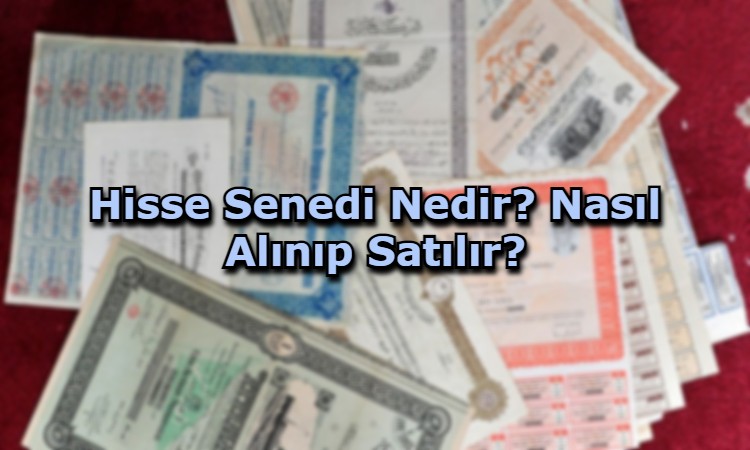 Hisse Senedi Nedir? Nasıl Alınıp Satılır?