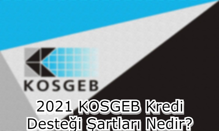 2021 KOSGEB Kredi Desteği Şartları Nedir?