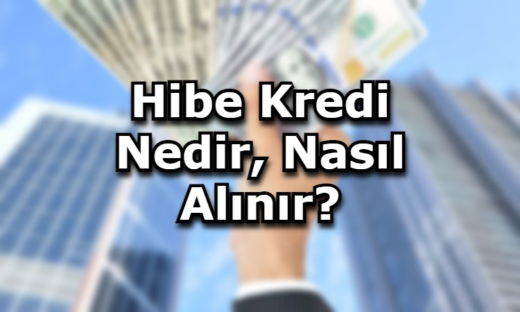 Hibe Kredi Nedir, Nasıl Alınır?