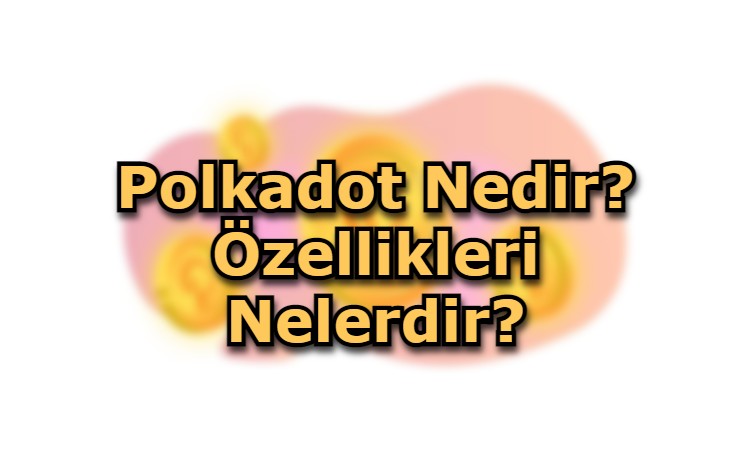 Polkadot Nedir? Özellikleri Nelerdir?