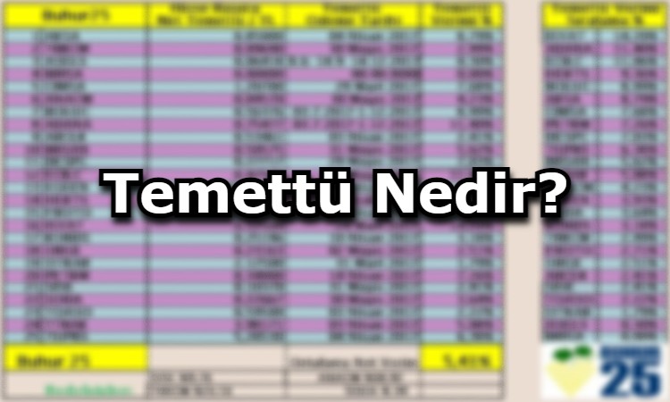 Temettü Nedir?