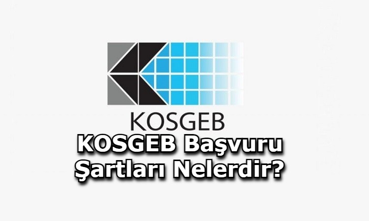 KOSGEB Başvuru Şartları Nelerdir?