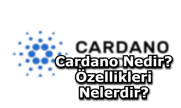 Cardano Nedir? Özellikleri Nelerdir?