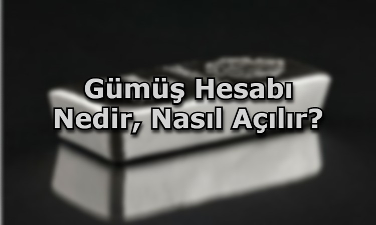 Gümüş Hesabı Nedir, Nasıl Açılır?