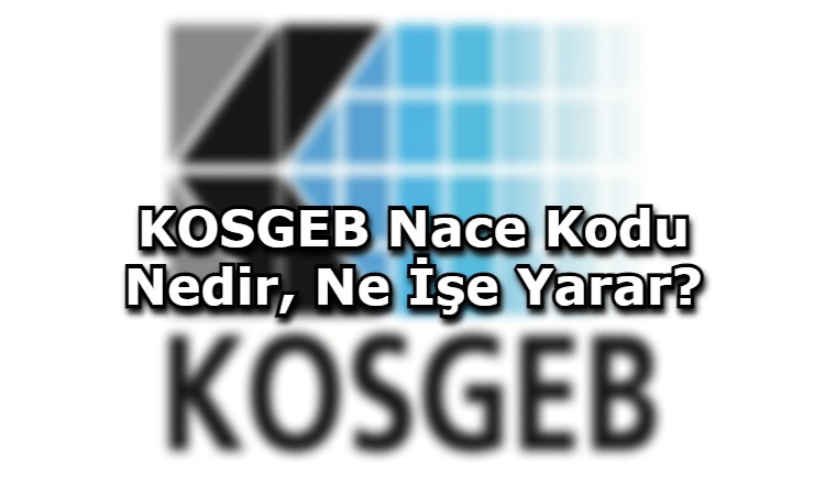 KOSGEB Nace Kodu Nedir, Ne İşe Yarar?