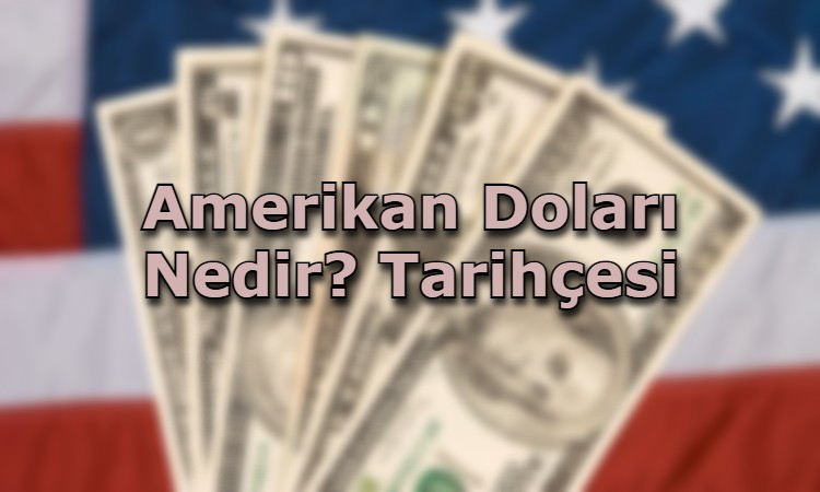 Amerikan Doları Nedir? Tarihçesi