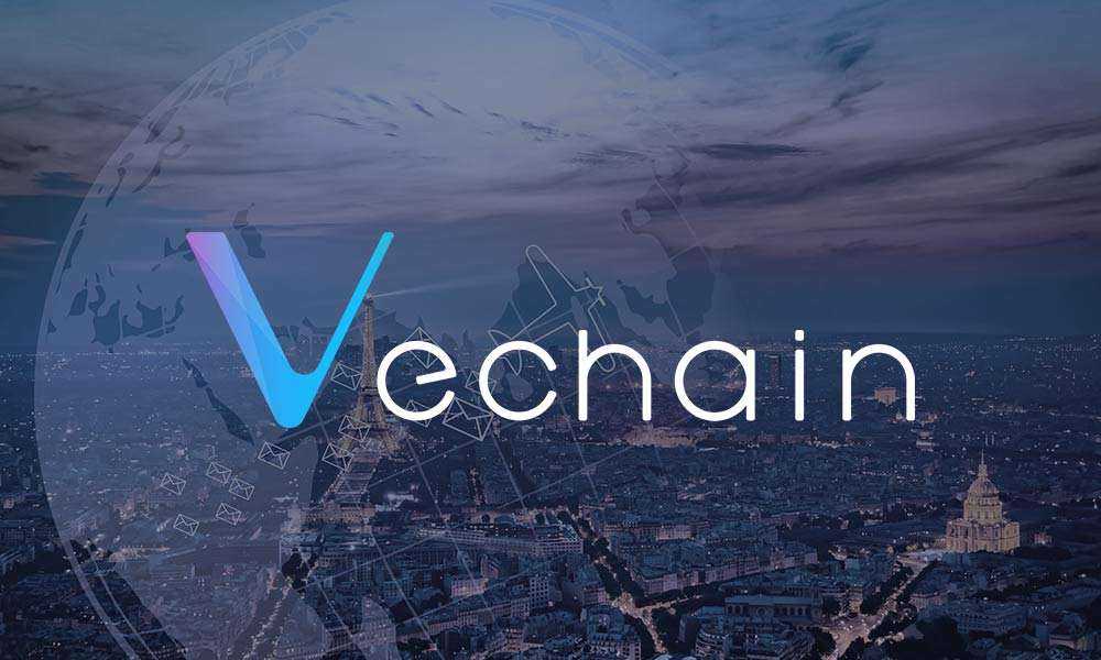 vechain kullanim alanlari