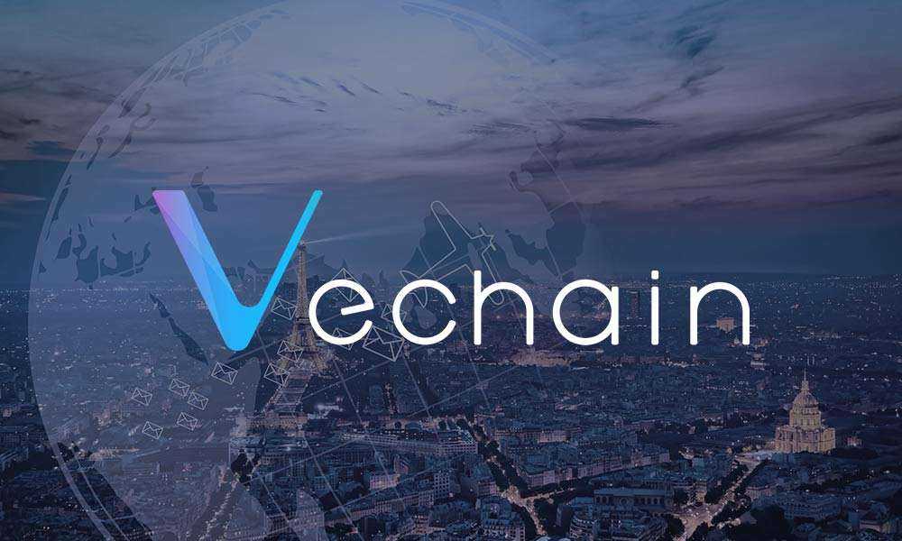 vechain kullanim alanlari