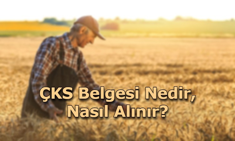 ÇKS Belgesi Nedir, Nasıl Alınır?