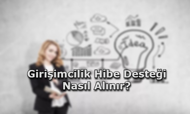 Girişimcilik Hibe Desteği Nasıl Alınır?