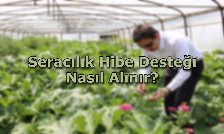 Seracılık Hibe Desteği Nasıl Alınır?