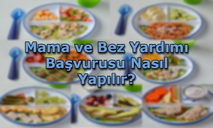 Mama ve Bez Yardımı Başvurusu Nasıl Yapılır?