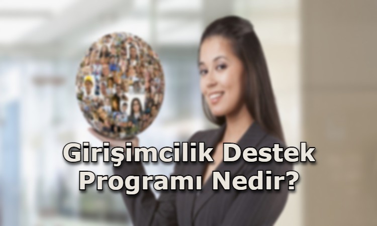 Girişimcilik Destek Programı Nedir?