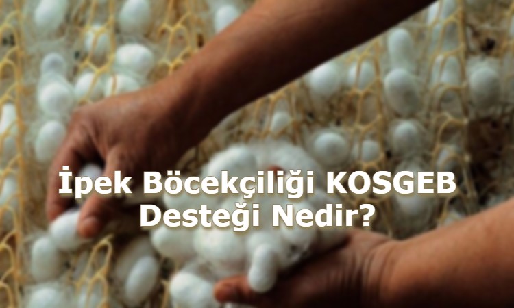 İpek Böcekçiliği KOSGEB Desteği Nedir?