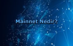 Mainnet Nedir?