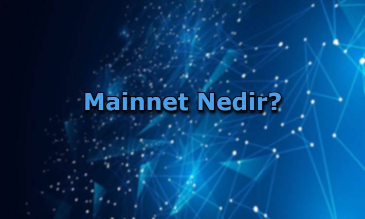 Mainnet Nedir?