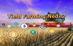 Yield Farming Nedir?