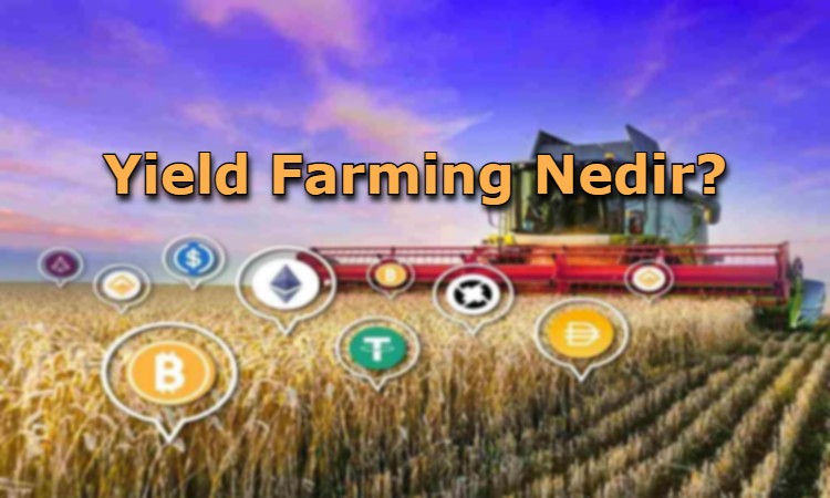 Yield Farming Nedir?