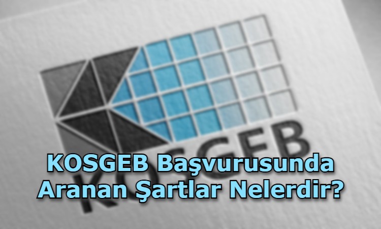 KOSGEB Başvurusunda Aranan Şartlar Nelerdir?