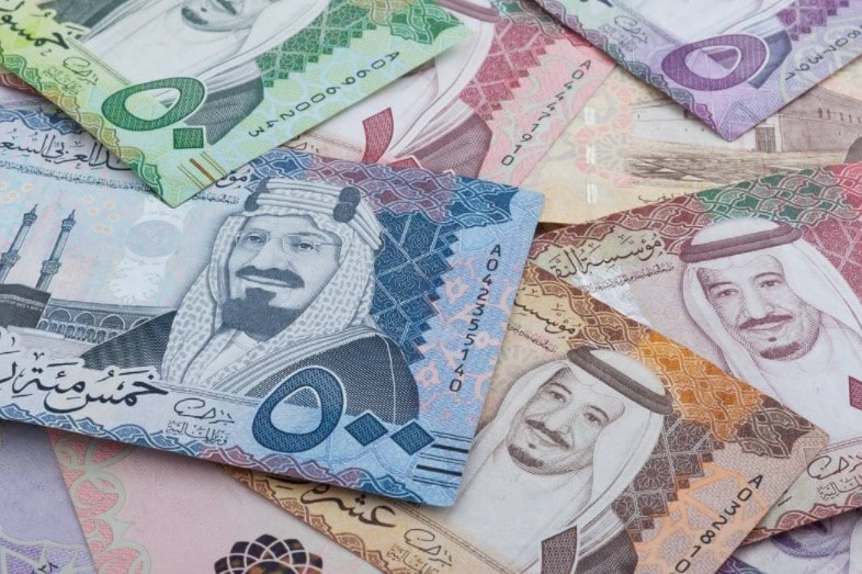 riyal banknotlari nedir