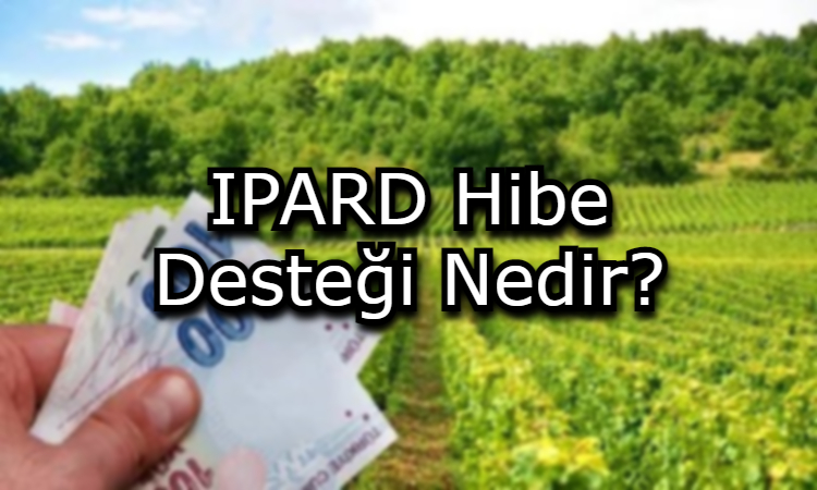 IPARD Hibe Desteği Nedir?