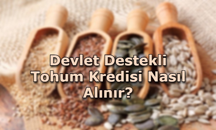 Devlet Destekli Tohum Kredisi Nasıl Alınır?