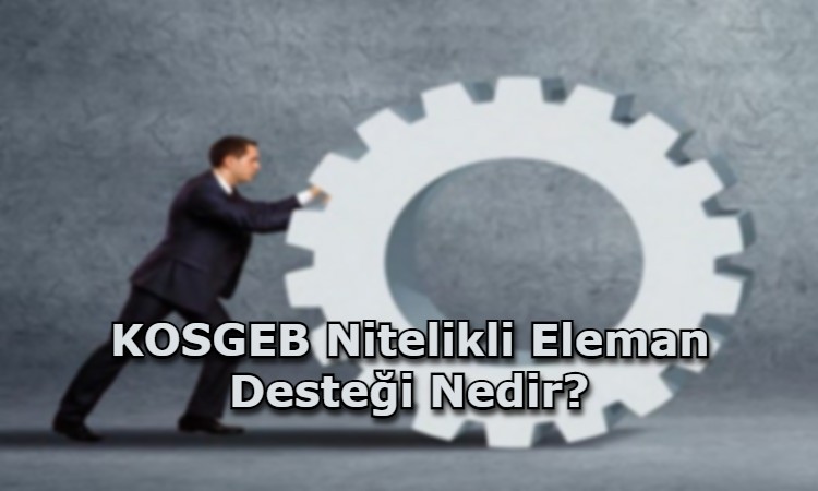 KOSGEB Nitelikli Eleman Desteği Nedir?