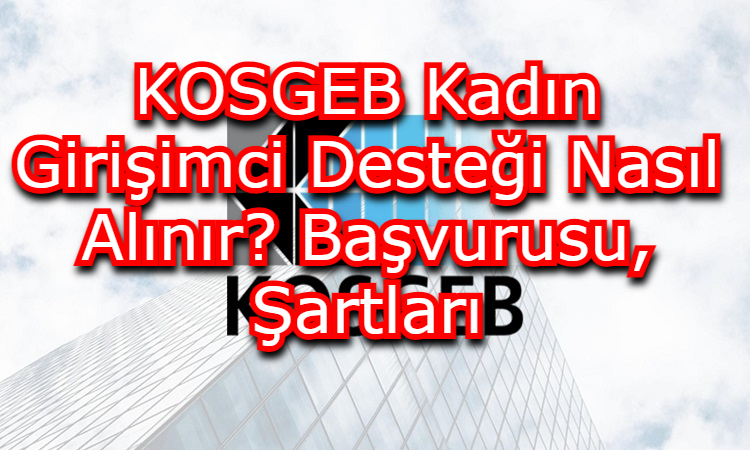 KOSGEB Kadın Girişimci Desteği Nasıl Alınır? Başvurusu, Şartları