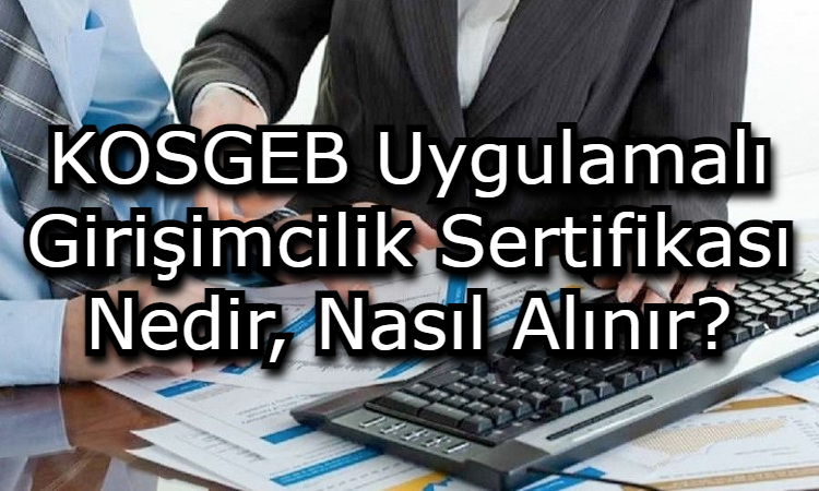 KOSGEB Uygulamalı Girişimcilik Sertifikası Nedir, Nasıl Alınır?