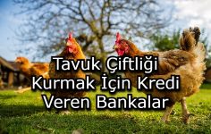 Tavuk Çiftliği Kurmak İçin Kredi Veren Bankalar