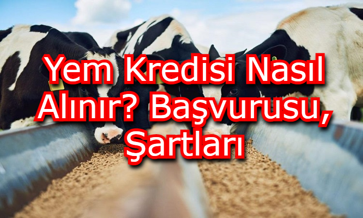 Yem Kredisi Nasıl Alınır? Başvurusu, Şartları