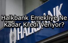 Halkbank Emekliye Ne Kadar Kredi Veriyor?